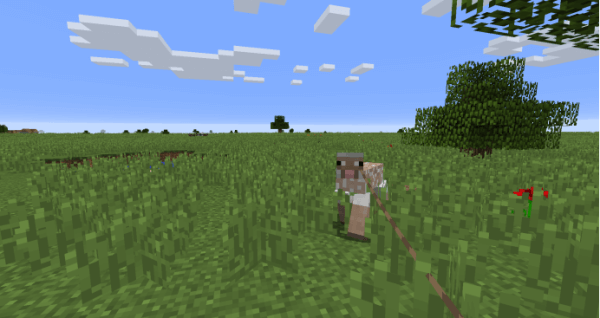 我的世界国际版