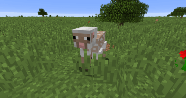 我的世界国际版