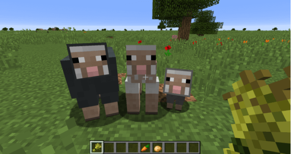 我的世界国际版