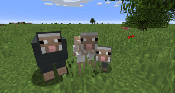 我的世界国际版