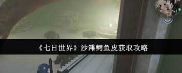 七日世界如何获取沙滩鳄鱼皮