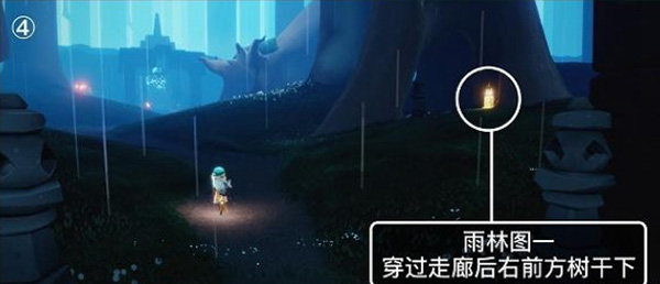 光遇潜海季雨林季节蜡烛位置一览