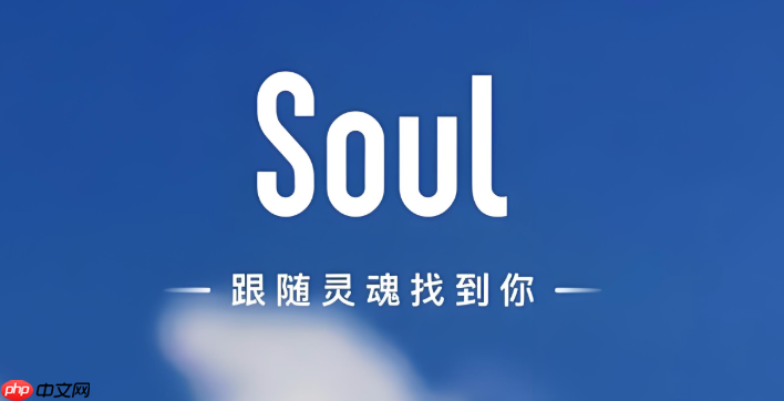 soul怎么关闭语音匹配时的摄像头画面_soul语音匹配摄像头关闭方法