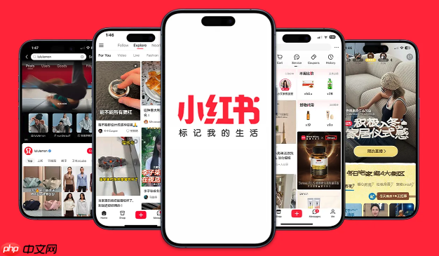 小红书在线网页体验_小红书网页版官网导航