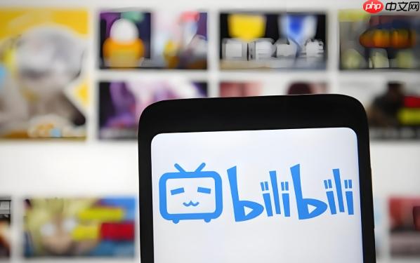 哔哩哔哩的“粉丝牌”等级怎么提升_哔哩哔哩粉丝牌升级指南