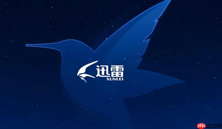 迅雷网盘网页版入口链接 迅雷网盘电脑版登录网址