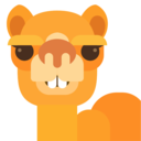 骆驼相册app下载安装