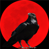 乌鸦之霜下载安装安卓版