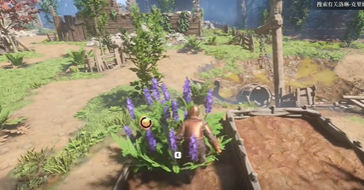 雾锁王国靛青植物在哪