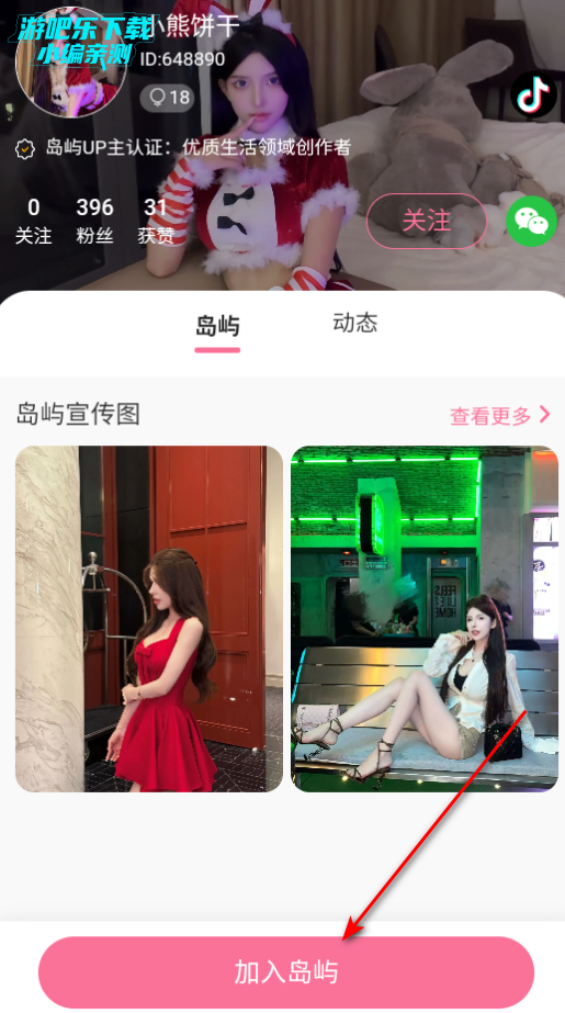 种梦粉丝圈(岛遇改名版)