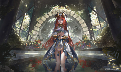 原神草神和妮露选哪个 草神和妮露抽取建议