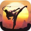暗影格斗阴影最新版2025安卓版