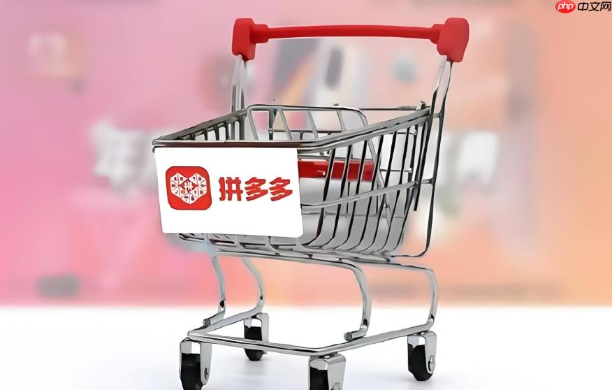 拼多多账号登录后无法操作怎么办 拼多多登录修复与操作方法