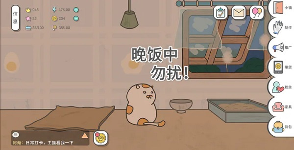 主播和猫的故事