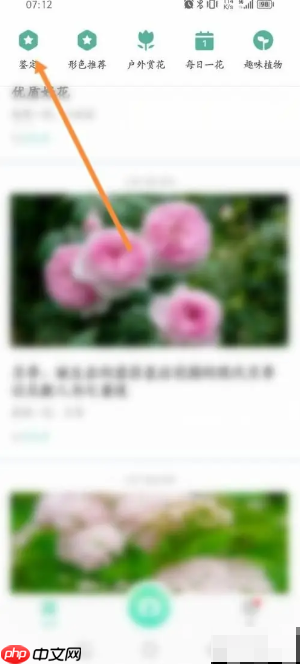 《形色》鉴定植物方法