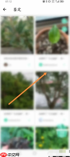 《形色》鉴定植物方法
