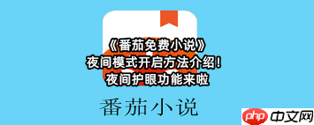 番茄免费小说如何开启夜间模式