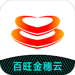 百旺金穗云电子发票手机版