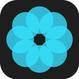 哈喽壁纸最新安卓版本2023