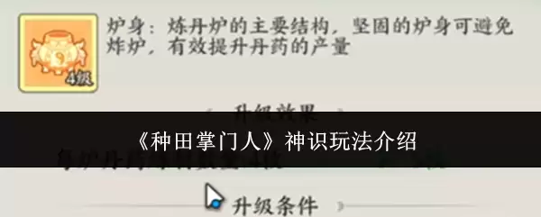 神识玩法解析：种田掌门人必备攻略指南
