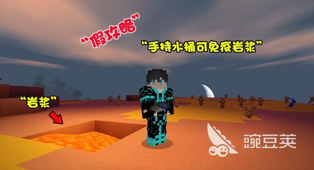 24021050lf8d.jpg