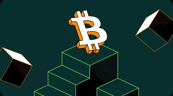 欧美柚子币交易所软件哪里可以买？空投多柚子币交易所软件大全