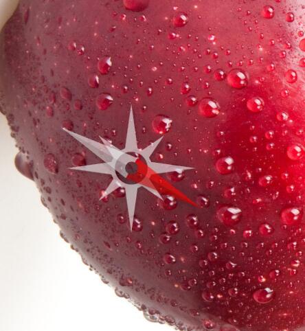 53、ps抓手工具和旋转视图工具的使用