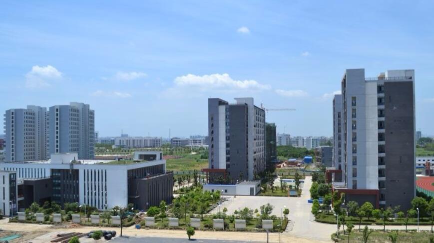 54、ps放大镜使用方法