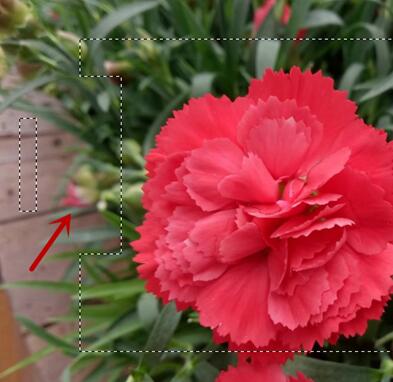 9、Photoshop选区工具怎么用及介绍?