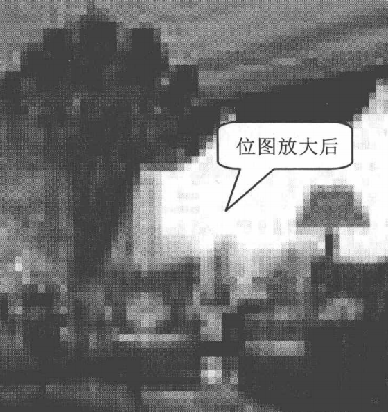 Photoshop中位图和矢量图有什么区别？