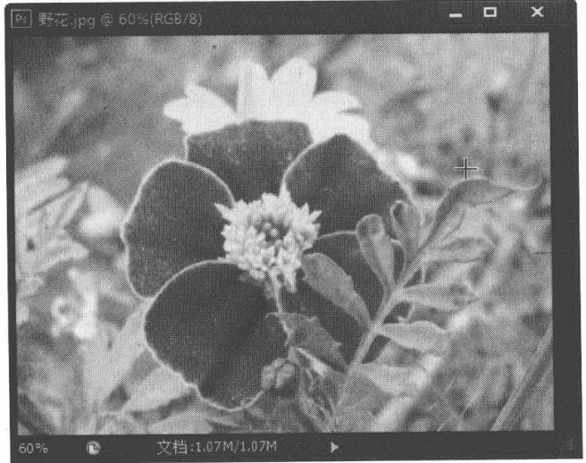 使用“色彩平衡”命令纠正图像中较明显的偏色现象的方法