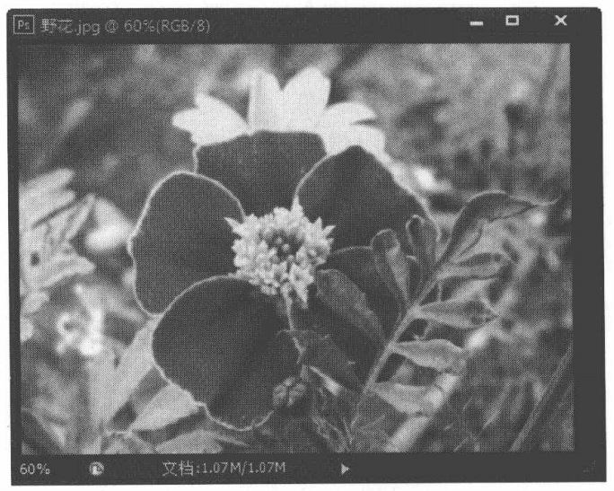 使用“色彩平衡”命令纠正图像中较明显的偏色现象的方法