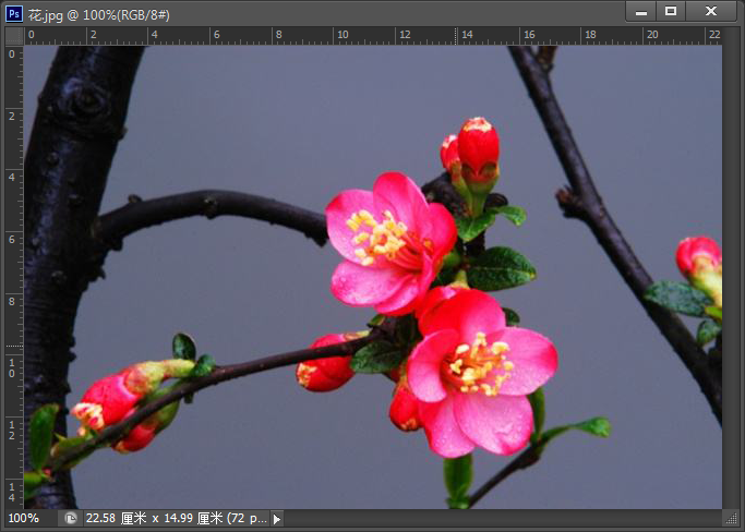 使用Photoshop去色命令将彩色照片变成黑白照的方法