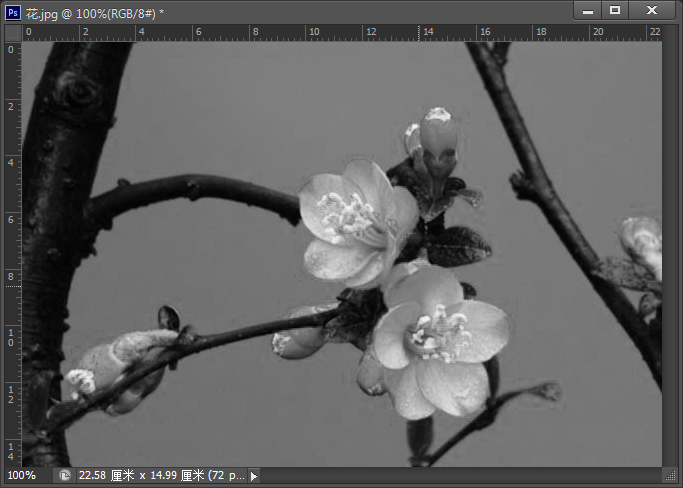 使用Photoshop去色命令将彩色照片变成黑白照的方法