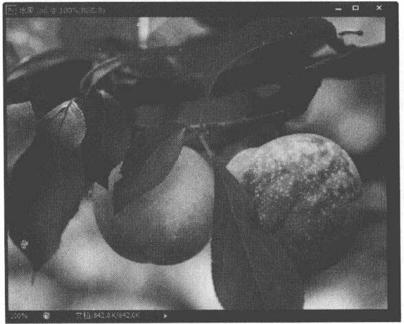  妙用PS“海绵工具”让图像的颜色变得更加鲜艳