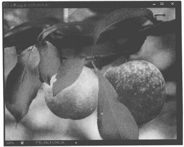  妙用PS“海绵工具”让图像的颜色变得更加鲜艳