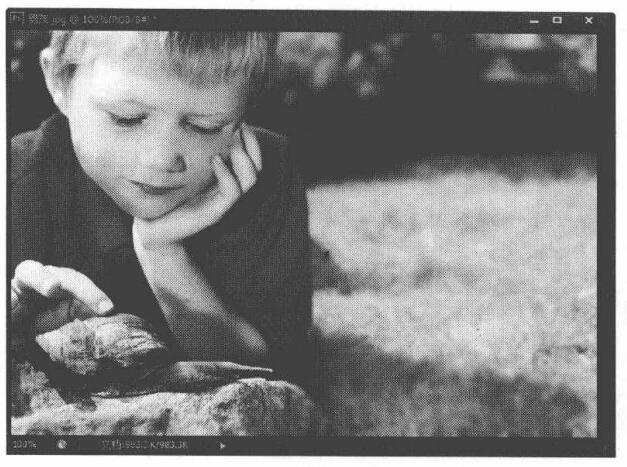 使用Photoshop CS6对图像进行修饰和修复的教程