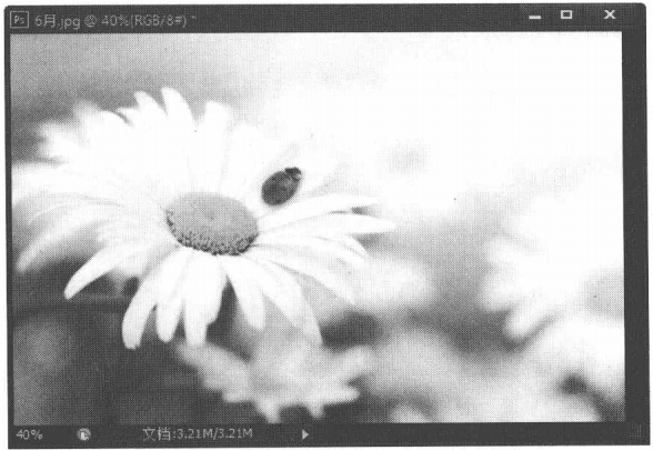 Photoshop横排和直排文字工具介绍