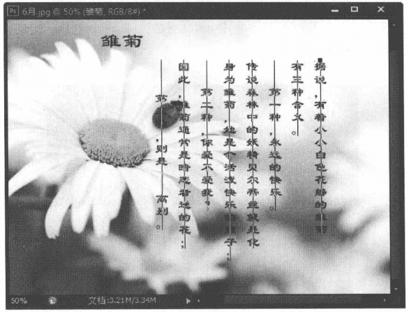 Photoshop横排和直排文字工具介绍