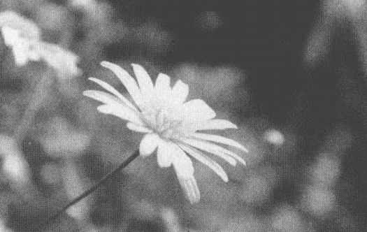 ps实战演练，制作个性化日历