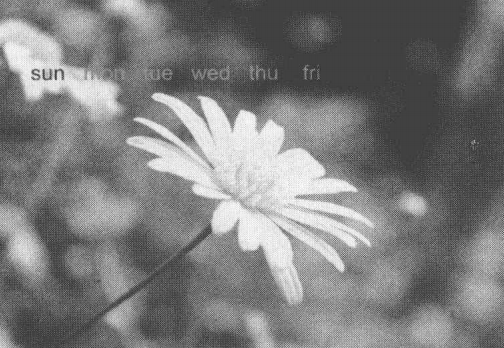 ps实战演练，制作个性化日历