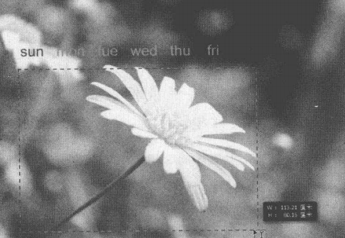 ps实战演练，制作个性化日历