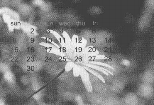 ps实战演练，制作个性化日历