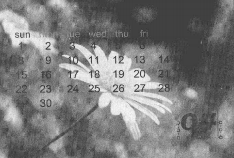 ps实战演练，制作个性化日历