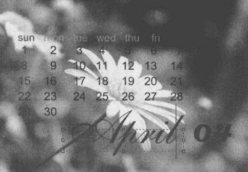 ps实战演练，制作个性化日历