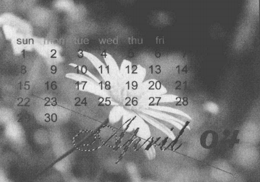 ps实战演练，制作个性化日历