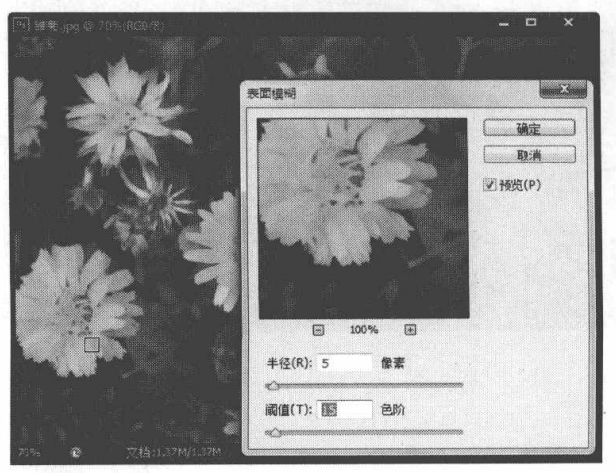 通过模糊类滤镜削弱图像边缘过于清晰的区域