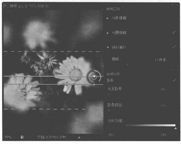 通过模糊类滤镜削弱图像边缘过于清晰的区域