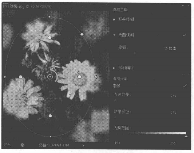 通过模糊类滤镜削弱图像边缘过于清晰的区域