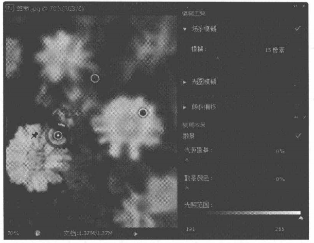 通过模糊类滤镜削弱图像边缘过于清晰的区域